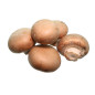 CHAMPIGNON BRUN 1,5KG